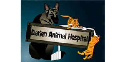 Darien Animal Hospital